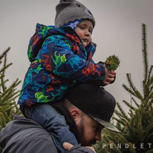 Meet your Posher, Graham